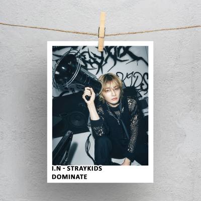 پولاروید(فتوکارت) Stray Kids dominATE  I.N