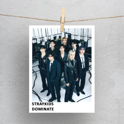 پولاروید(فتوکارت) stray kids dominATE