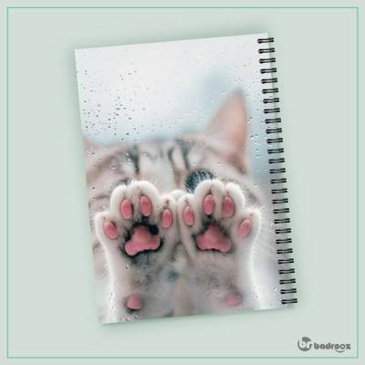 دفتر یادداشت گربه  05