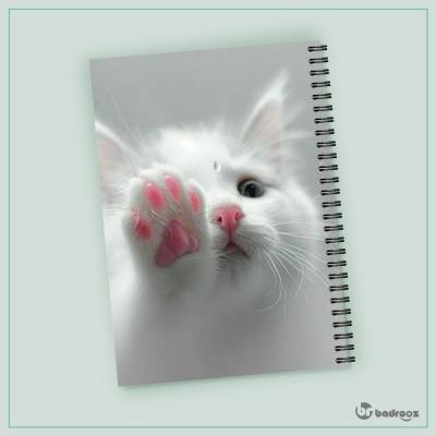 دفتر یادداشت گربه  06