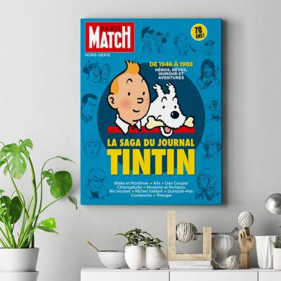 تابلو کنواس (بوم) تن تن - TinTin 21