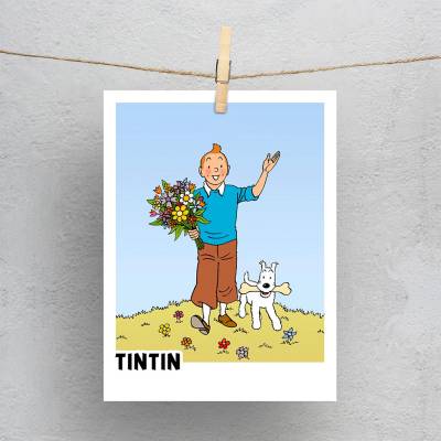 پولاروید(فتوکارت) تن تن - TinTin 22