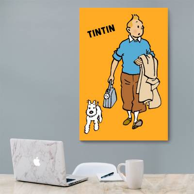 شاسی تن تن - TinTin 27