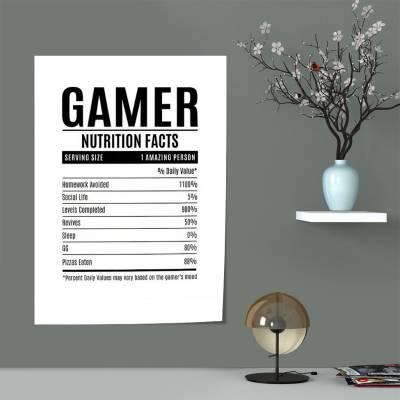 پوستر سیلک گیمر - Gamer