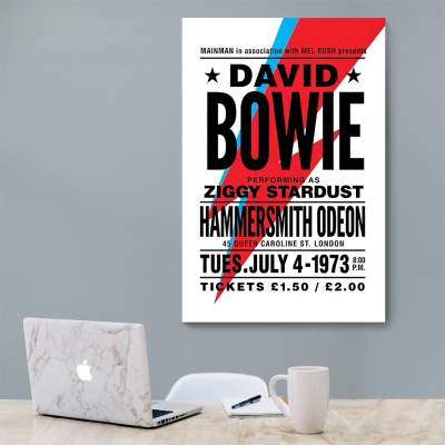 شاسی  دیوید بویی - David Bowie