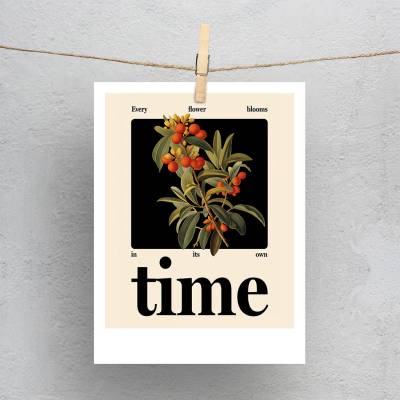 پولاروید(فتوکارت) Time