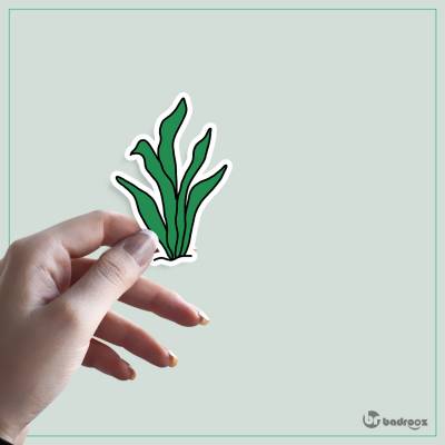 استیکر و برچسب جلبک دریایی