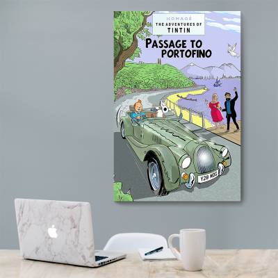 شاسی  تن تن - TinTin 29