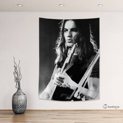 بک دراپ دیوید گیلمور - David Gilmour