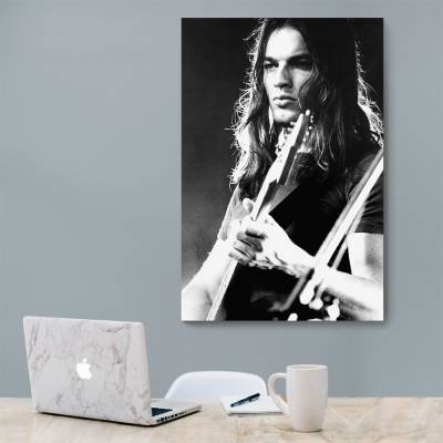 شاسی  دیوید گیلمور - David Gilmour