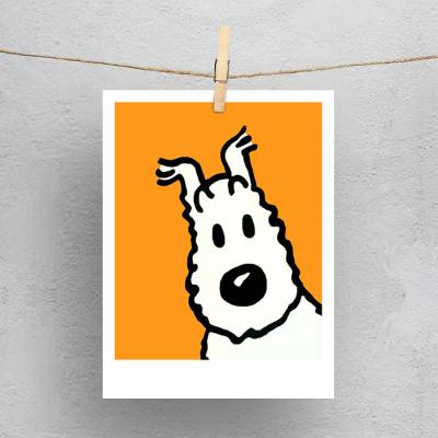 پولاروید(فتوکارت) میلو - تن تن - TinTin