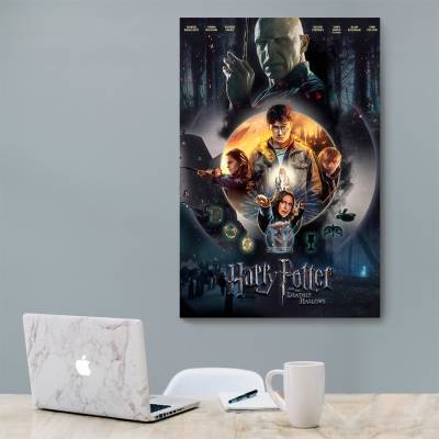 شاسی  هری پاتر - 7 Harry Potter