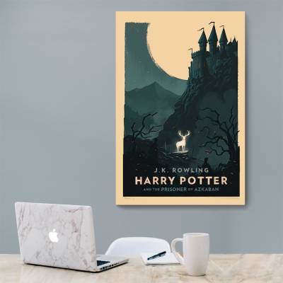 شاسی  هری پاتر - 16 Harry Potter