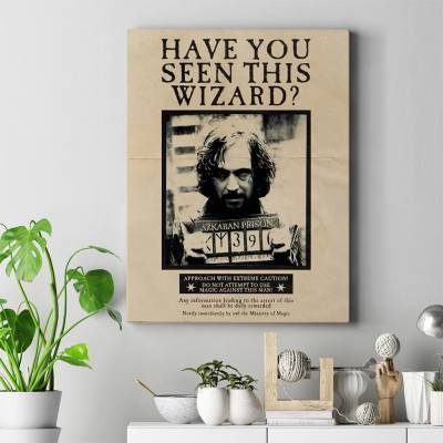 تابلو کنواس (بوم) هری پاتر - 17 Harry Potter