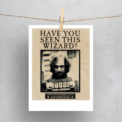 پولاروید(فتوکارت) هری پاتر - 17 Harry Potter