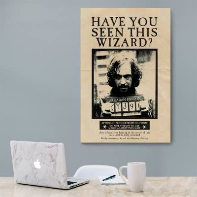 شاسی  هری پاتر - 17 Harry Potter