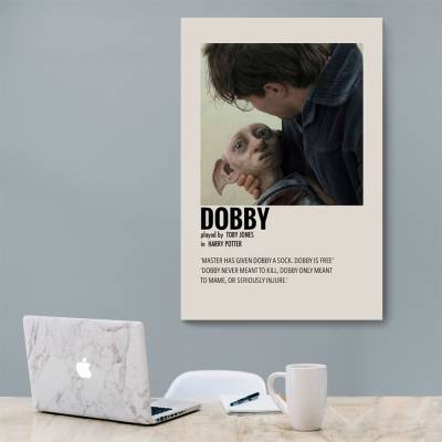 شاسی  هری پاتر - 19 Harry Potter