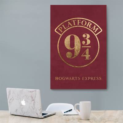 شاسی  هری پاتر - 32 Harry Potter
