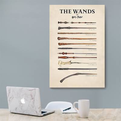 شاسی  هری پاتر - 33 Harry Potter
