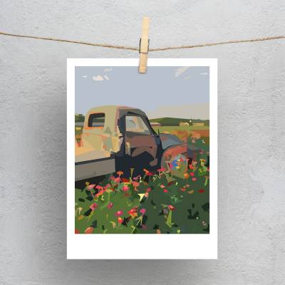 پولاروید(فتوکارت) دشت گل..