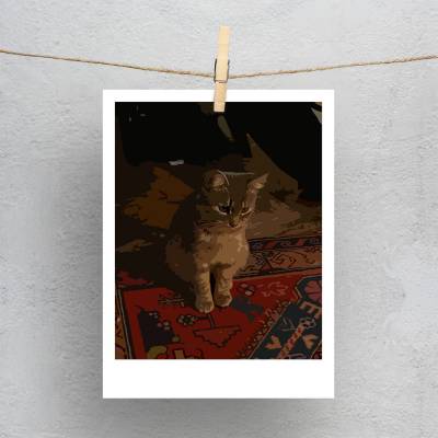 پولاروید(فتوکارت) پیشولی2..