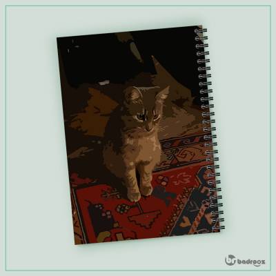 دفتر یادداشت پیشولی2..