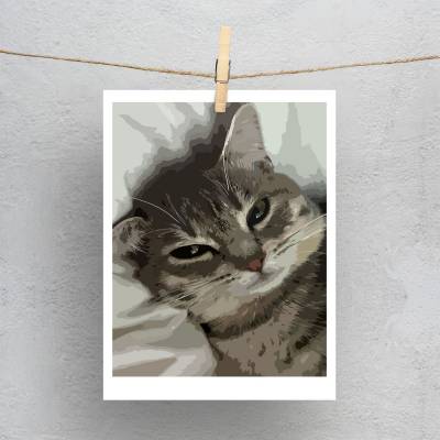 پولاروید(فتوکارت) پیشولی3..