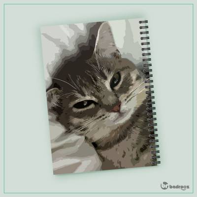 دفتر یادداشت پیشولی3..