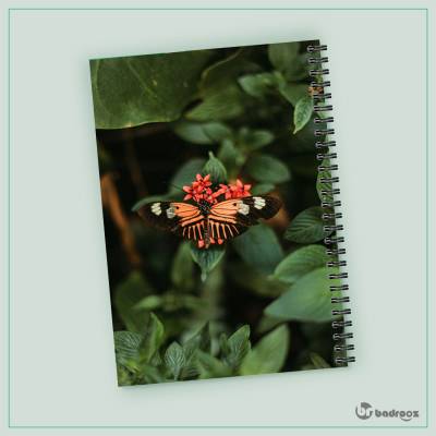 دفتر یادداشت پروانه در طبیعت