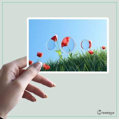 استیکر و برچسب گل لاله بارونی