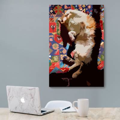 شاسی  گربه و فرش ایرانی1