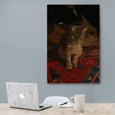 شاسی  پیشولی2..