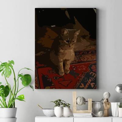 تابلو کنواس (بوم) پیشولی2..