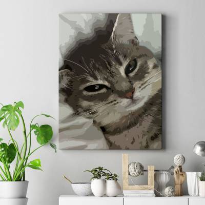 تابلو کنواس (بوم) پیشولی3..