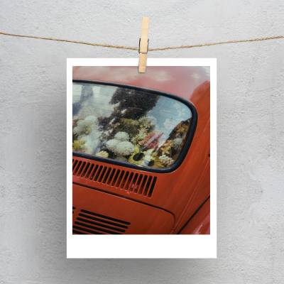 پولاروید(فتوکارت) گل و ماشین