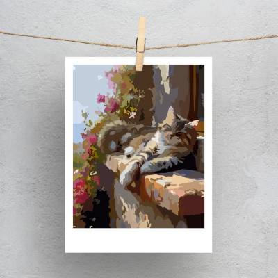 پولاروید(فتوکارت) گهواره نور