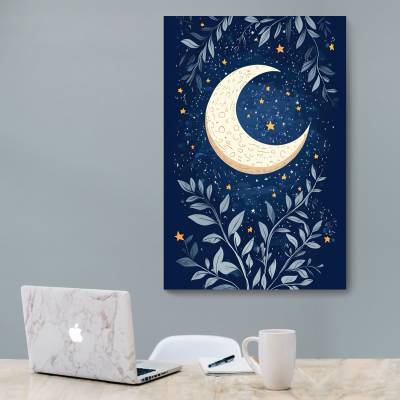 شاسی  طرح شب مهتابی 2