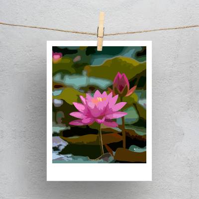 پولاروید(فتوکارت) طلوع در مرداب