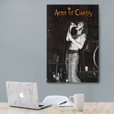 شاسی  Alice in chains - آلیس این چینز 2