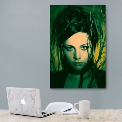 شاسی  Evanescence - اونسنس