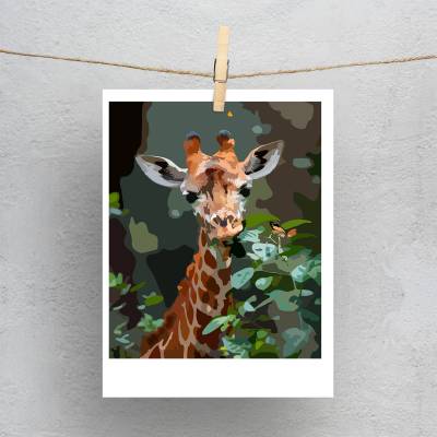 پولاروید(فتوکارت) نگاه آرام