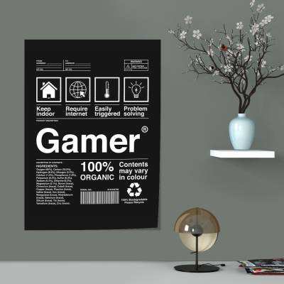 پوستر سیلک Gamer