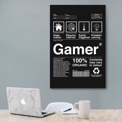 شاسی  Gamer
