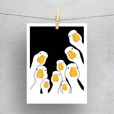 پولاروید(فتوکارت) اکیپ اردک