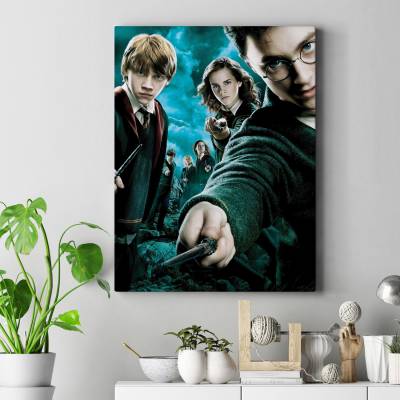 قاب کنواس harry potter 4