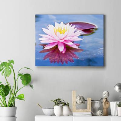 تابلو کنواس (بوم) لاله واژگون