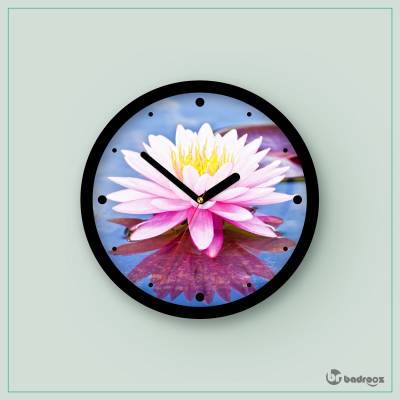 ساعت دیواری  نیلوفر آبی