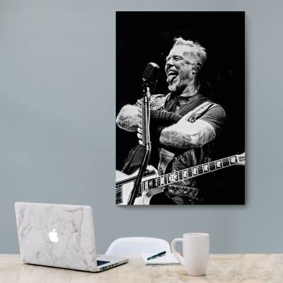 شاسی  جیمز هتفیلد - James Hetfield 3
