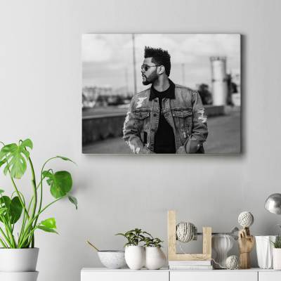تابلو کنواس (بوم) طرح د ویکند ( The Weeknd) - کد : 011