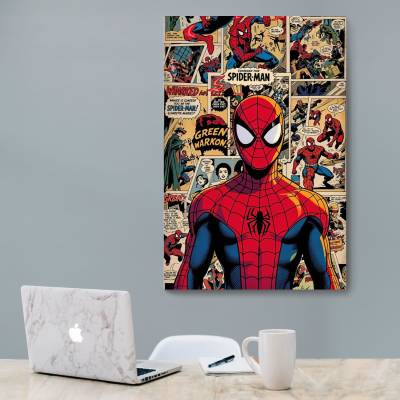 شاسی  مرد عنکبوتی - Spider-Man